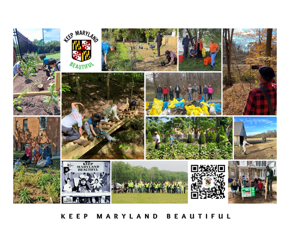 MET_KMBcollage_LTsept24