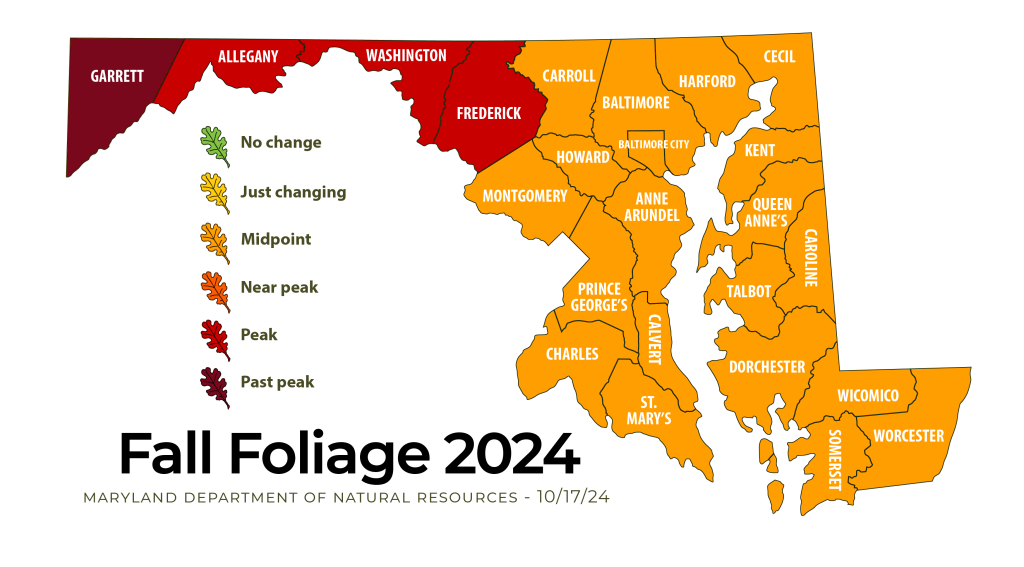 Fall Foliage Report October 17, 2024