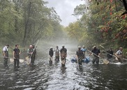 Photo of survey crew in a stream