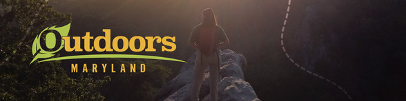 Photo of woman at the top of a rock formation