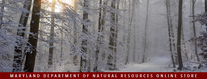 Title card for DNR Outdoor Store