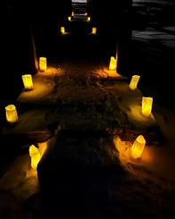Luminaries