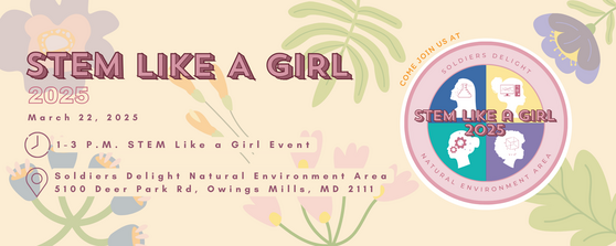 STEM Like a Girl Banner