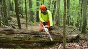 chainsaw