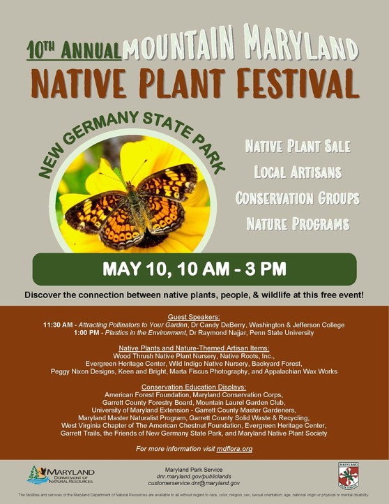 Native Plant Festival Flyer