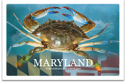 Maryland Fishing License Card