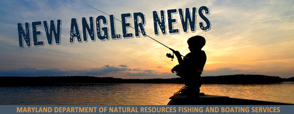 New Angler News