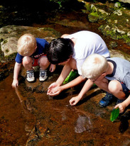 Kids Playing in Stream