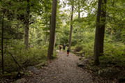 walking on trail