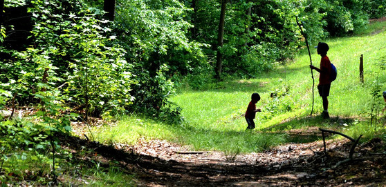 The silhouettes of two young boys, one with a walking stick. Photo by Anthony Burrows