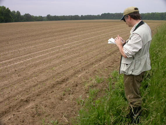 MET_MonitorPic_LTjun25