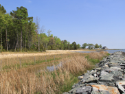 MET_ChesQuartMag_Jun25LT