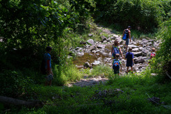 Children playing in stream