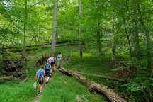 People hiking trail