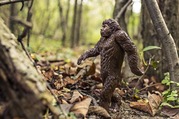 Bigfoot walking through the woods
