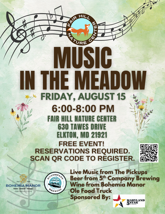 Music in the Meadow