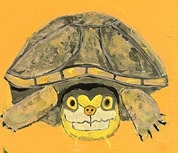 Painting of Mud Turtle