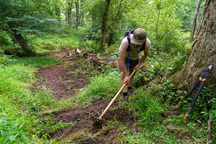 An individual scratching trail into the soil