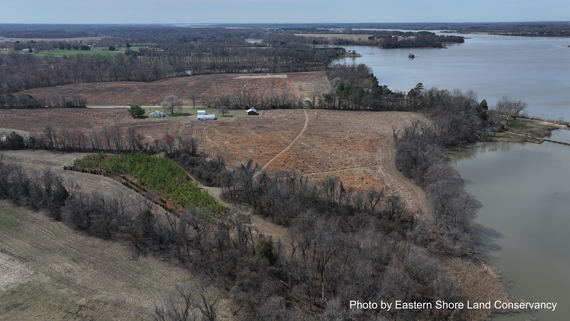 MET_1187newCE_METjul25