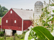 MET_UMEFarmProgram_metjul25