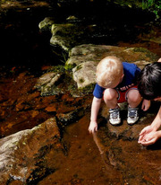 Kids Playing in Stream
