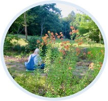 Native Plant Garden