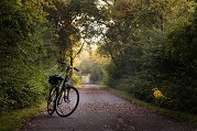 Trail Bike