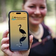 Woman holding a cellphone