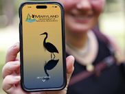 MET_newDNRapp_METaug25