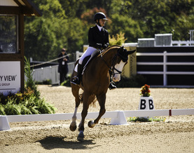 Maryland 5 Star - Team USA's Sara Schulman on Cooley Chromatic