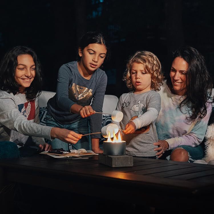 A family around a small fire roasting marshmallows