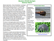 MET_UMEbeaverarticle_LTsept25