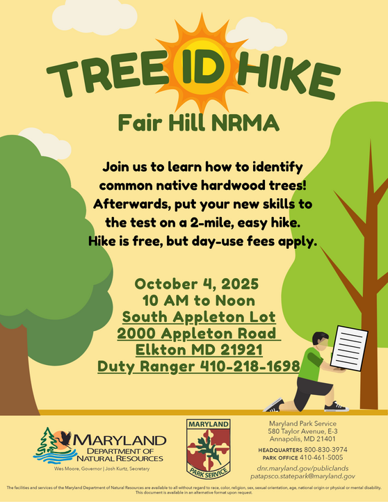 Tree ID hike