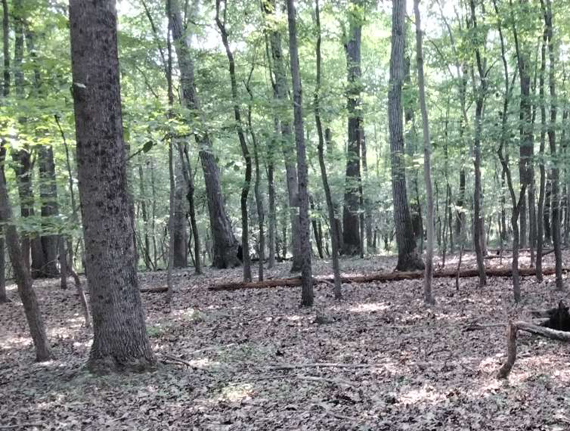 MET_newCE1188_METnov25