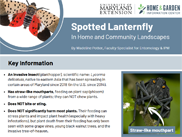 MET_UMEspotlatfly_METnov25