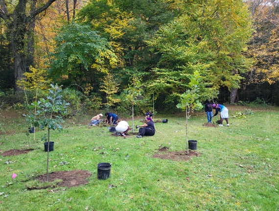 MET_5MTmetphoto_METnov25