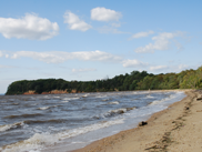 MET_CE0995_GDcropSM_LTnov25