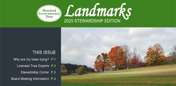 MET_2025stewNewsletter_METdec25