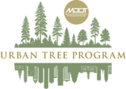 MET_MDOT_UTP_LTdec25