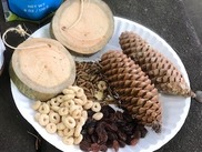 Photo of Bird Feeder Materials