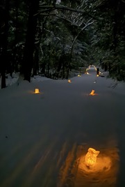 Photo of Trail with Luminaries