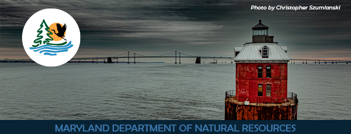 Lighthouse in the bay during winter