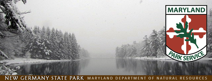 New Germany Winter Banner