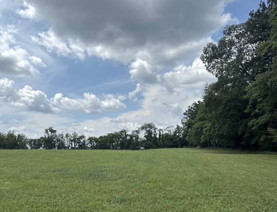 MET_newCEmont19ac_METjan26