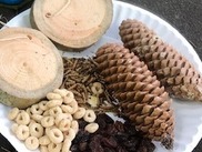 Picture of Bird Feeder Supplies