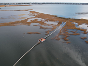 MET_TNCsedart_LTjan26