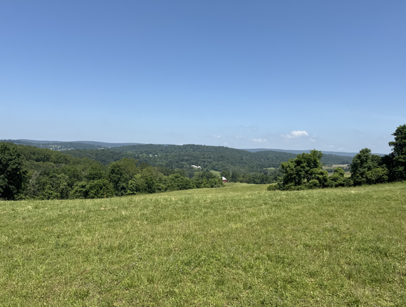 MET_1193ceFRED_METfeb26