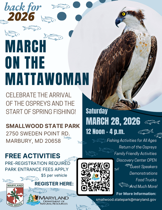 March on the Mattawoman