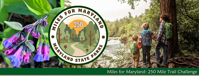 spring header with flower and hikers