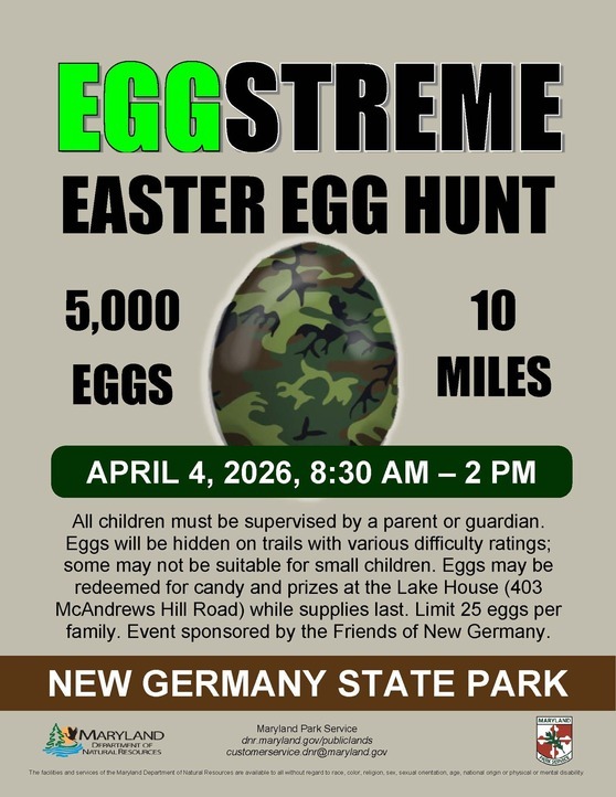 Eggstreme easter egg hunt